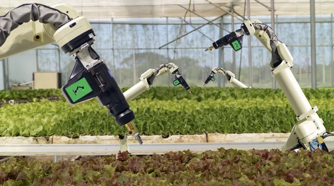 نمونه‌های کاربرد هوش مصنوعی در کشاورزی