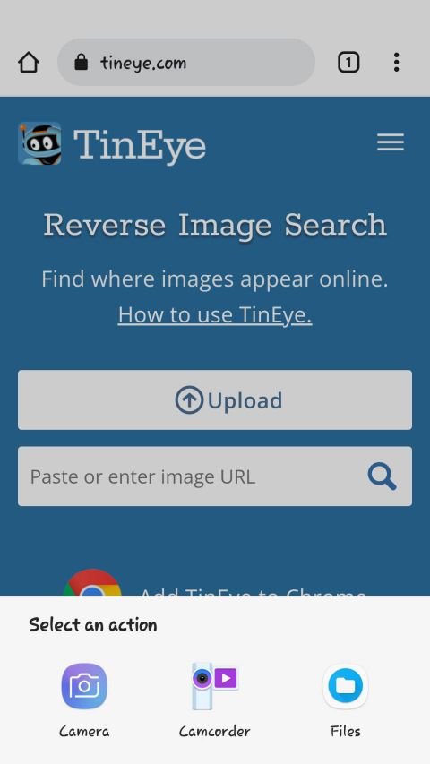TinEye یکی از برنامه های جستجوی عکس