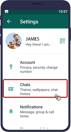 بخش chats در تنظیمات واتساپ