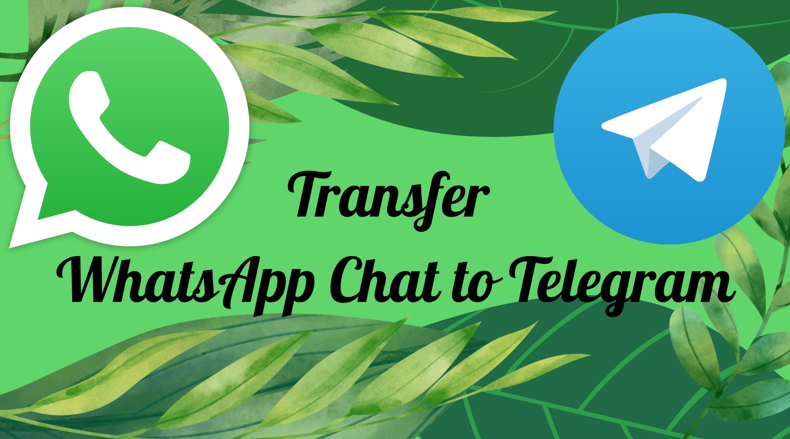 اموزش انتقال چت واتساپ به تلگرام
