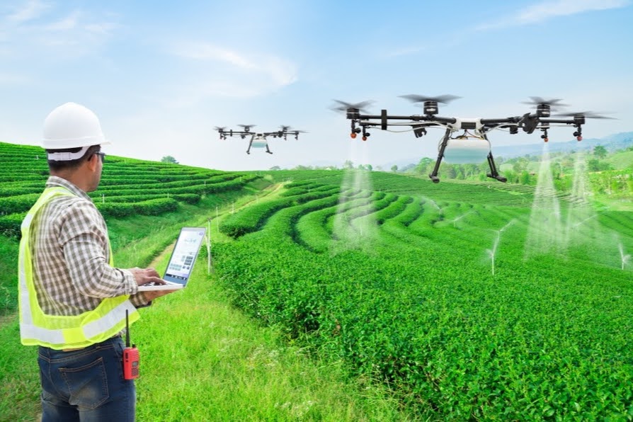 بهینه‌سازی مصرف آب با کاربرد هوش مصنوعی در کشاورزی
