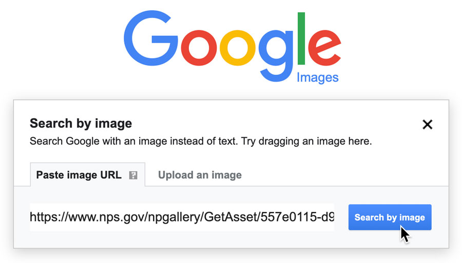 نحوه جستجوی عکس بر اساس تصویر در گوگل