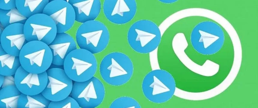 انتقال گیف تلگرام به واتساپ؛ آموزش تبدیل Gif تلگرام به واتساپ